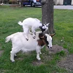 Du Val D'aure Szálloda Cadéac