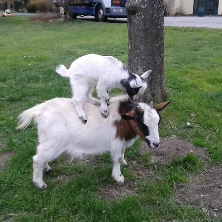 Du Val D'aure Hotel Cadéac