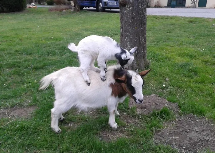 Du Val D'aure Отель Cadeac